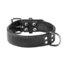 Adori Halsband Vetleer Zwart - Hondenhalsband - 60x2.5 Cm