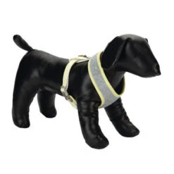 Beeztees Puppy Tuig - Geel - Maat L -Hondenbenodigdheden Verkoopwinkel beeztees puppy tuig geel maat l 63827 0300 none