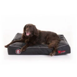 Doggybag PJP Siesta X-Treme Voor Honden Fossil -Hondenbenodigdheden Verkoopwinkel doggybag pjp siesta x treme voor honden