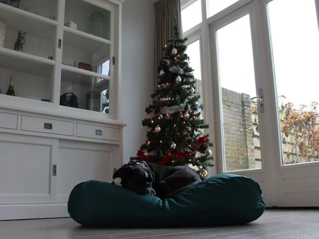 Hondenbed Groen Vuilafstotende Coating Small 1 Hondenbed Groen Vuilafstotende Coating Small