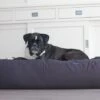Hondenbed Antraciet Medium