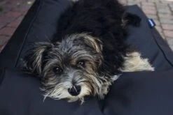 Hondenbed Zwart Leather Look Extra Small