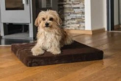 Hondenkussen VitaMeDog Bruin