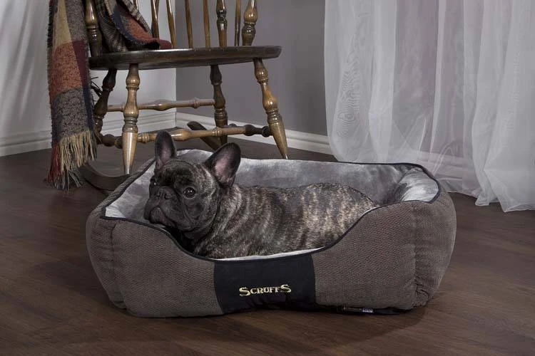 Scruffs Chester Box Bed - Grafiet (grijs) - S 3 Scruffs Chester Box Bed - Grafiet (grijs) - S - Afbeelding 3