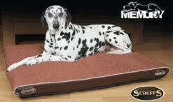 Scruffs Hilton Orthopaedic Medium Hondenkussen Bruin 10 Scruffs Hilton Orthopaedic Medium Hondenkussen Bruin -Hondenbenodigdheden Verkoopwinkel file 177