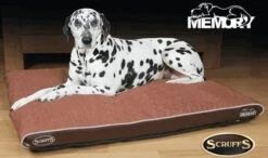 Scruffs Hilton Orthopaedic Large Hondenkussen Bruin 10 Scruffs Hilton Orthopaedic Large Hondenkussen Bruin -Hondenbenodigdheden Verkoopwinkel file 179