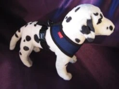 Puppia Soft Harness - XL - Blauw
