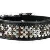 Hunter Halsband Arizona - 47 Cm
