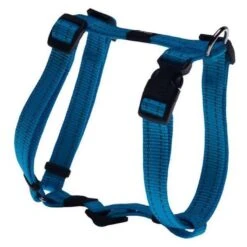 Rogz For Dogs Fanbelt Hondentuig Verstelbaar Turquoise 75 X 2 Cm -Hondenbenodigdheden Verkoopwinkel file 254