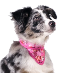 Cooling Pet Bandana Roses -Hondenbenodigdheden Verkoopwinkel file 4