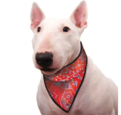 Cooling Pet Bandana Red Western 2 Cooling Pet Bandana Red Western - Afbeelding 2