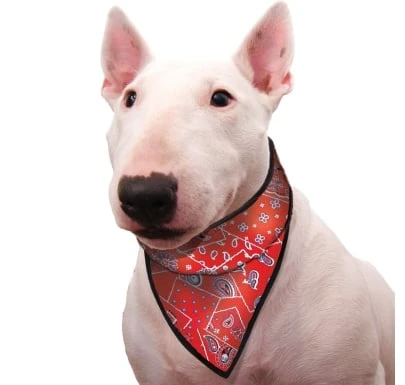 Cooling Pet Bandana Red Western 3 Cooling Pet Bandana Red Western - Afbeelding 3