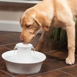 PetSafe Drinkwell Ceramic Avalon Drinkfontein - 2 L -Hondenbenodigdheden Verkoopwinkel file 427