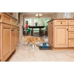 PetSafe Drinkfontein Drinkwell Pagoda Blauw