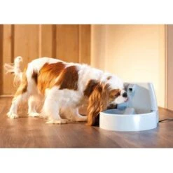PetSafe Drinkwell Drinkfontein - 1.5 L -Hondenbenodigdheden Verkoopwinkel file 432
