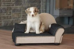 Hondenbenodigdheden Verkoopwinkel -Hondenbenodigdheden Verkoopwinkel file 48