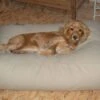 Hondenbed Beige Small