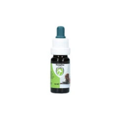 Excellent CBD Oil 2,75% - 10 Ml