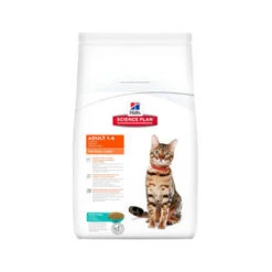 Hill's Feline Adult Optimal Care Tonijn 2 Kg