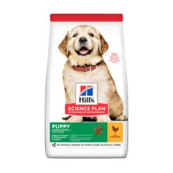 Hill's Science Plan - Puppy Large Breed - Chicken 16 Kg