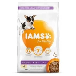 Iams Puppy & Junior Small/Medium Hondenvoer 3 Kg