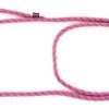 MARTIN SELLIER Looplijn Voor Hond Longe Nylon Reflecterend Roze 13 Mmx200 Cm
