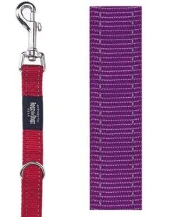 Rogz For Dogs Fanbelt Multipurpose Lijn Paars