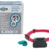 Petsafe Extra Ontvanger Halsband Voor Grote Honden