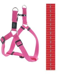 Rogz For Dogs Nitelife Step-in Hondentuig Verstelbaar Oranje 38 X 1,1 Cm