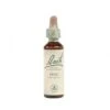 Bach Holly (Hulst) - 20 Ml