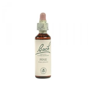 Bach Rock Rose (Zonneroosje) - 20 Ml