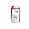 Eukanuba Puppy Intestinal - Veterinary Diets - Hond - 5 Kg