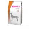 Eukanuba Renal - Veterinary Diets - Hond - 12 Kg