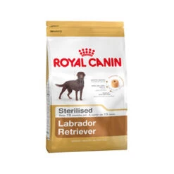 Royal Canin Sterilised Labrador Retriever Hondenvoer 3 Kg -Hondenbenodigdheden Verkoopwinkel royal canin labrador retriever sterilised adult 3 kg 67727 0300 none