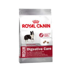 Royal Canin Medium Digestive Care Hondenvoer 3 Kg -Hondenbenodigdheden Verkoopwinkel royal canin medium digestive care 3 kg 67859 0300 none