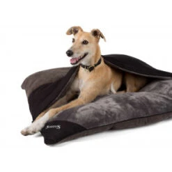 Scruffs Chester Divan Graphite Hondenkussen Large