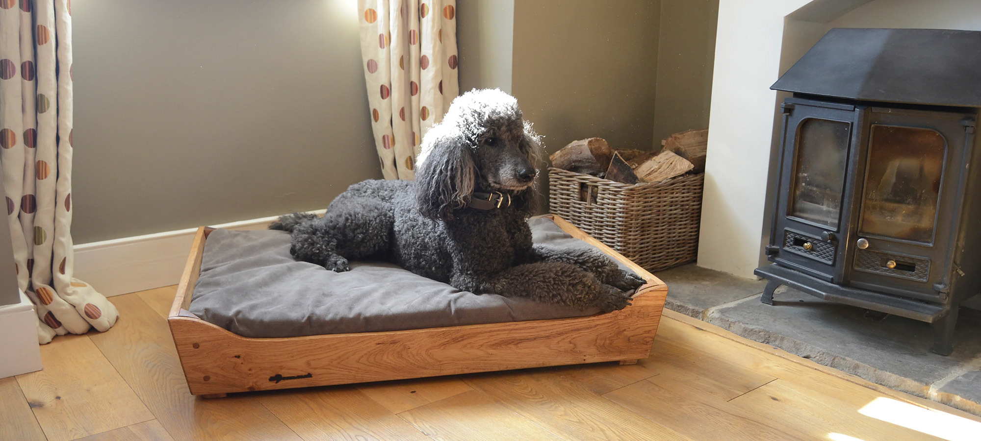 Hondenbenodigdheden Verkoopwinkel -Hondenbenodigdheden Verkoopwinkel 1